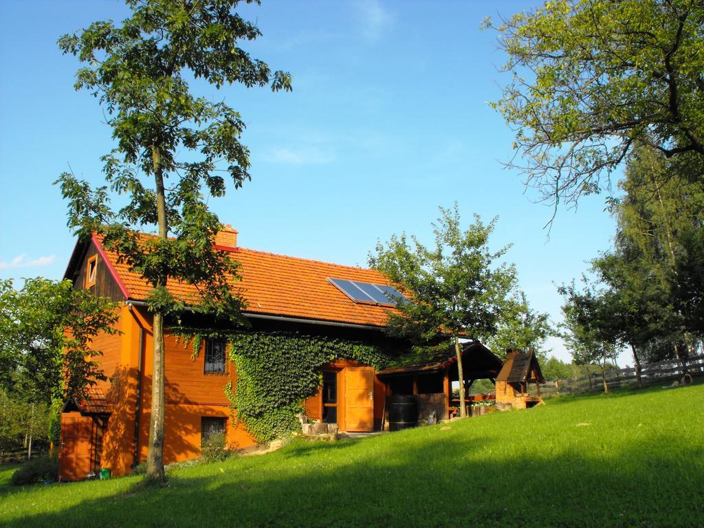 Agroturystyka Zacisze Czarna Owca Brzezanka Dış mekan fotoğraf