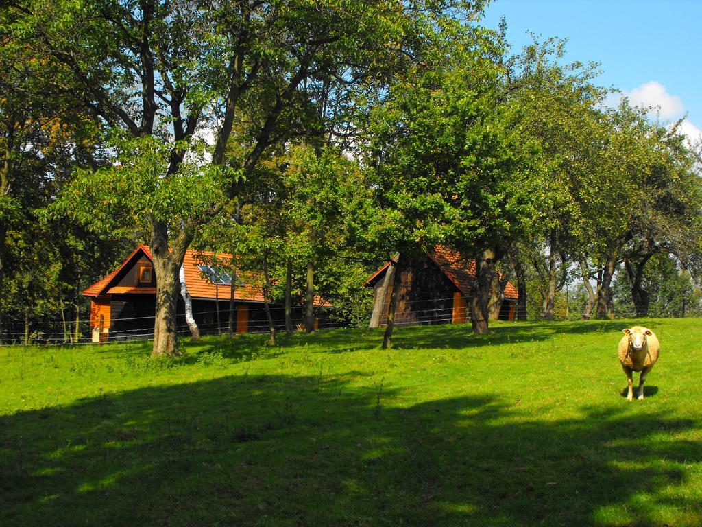 Agroturystyka Zacisze Czarna Owca Brzezanka Dış mekan fotoğraf