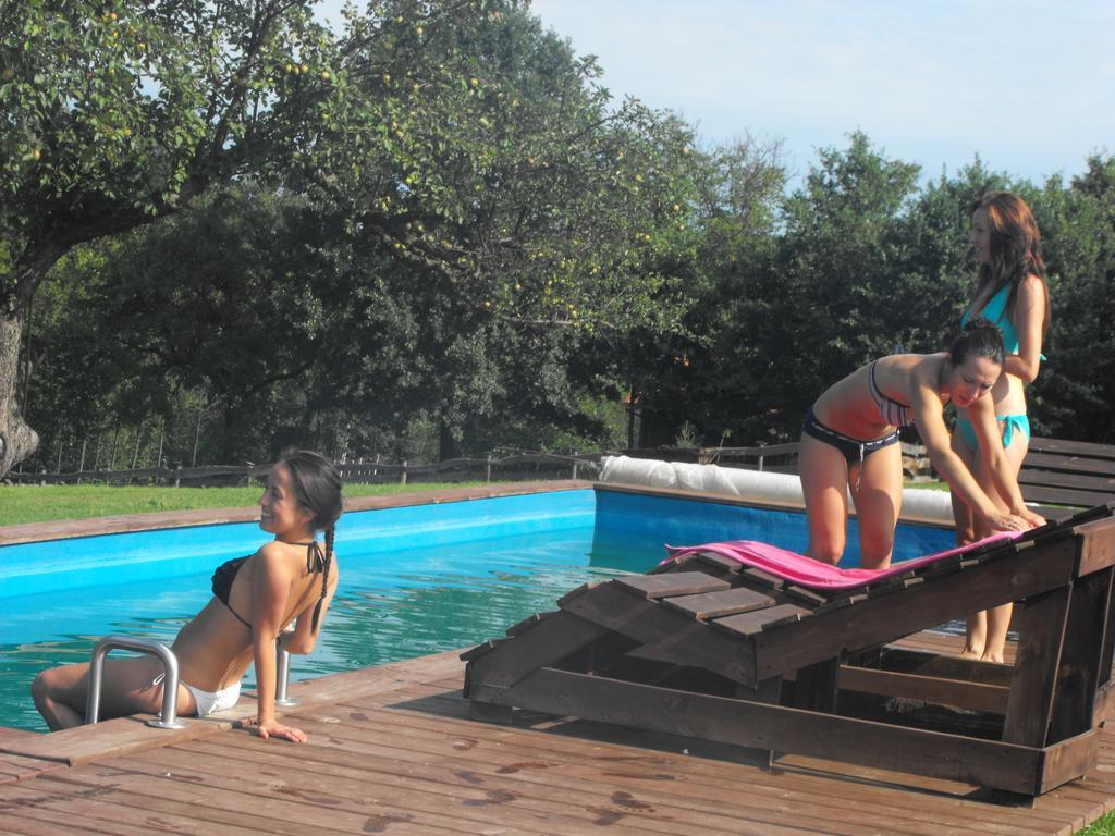 Agroturystyka Zacisze Czarna Owca Brzezanka Dış mekan fotoğraf