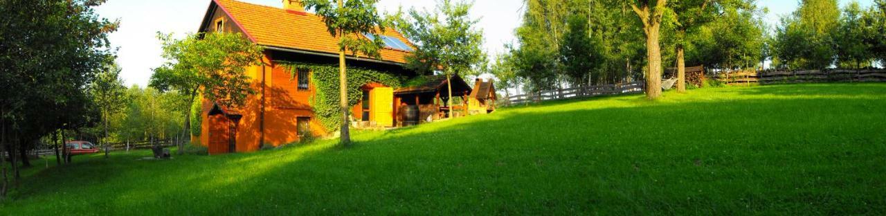 Agroturystyka Zacisze Czarna Owca Brzezanka Dış mekan fotoğraf