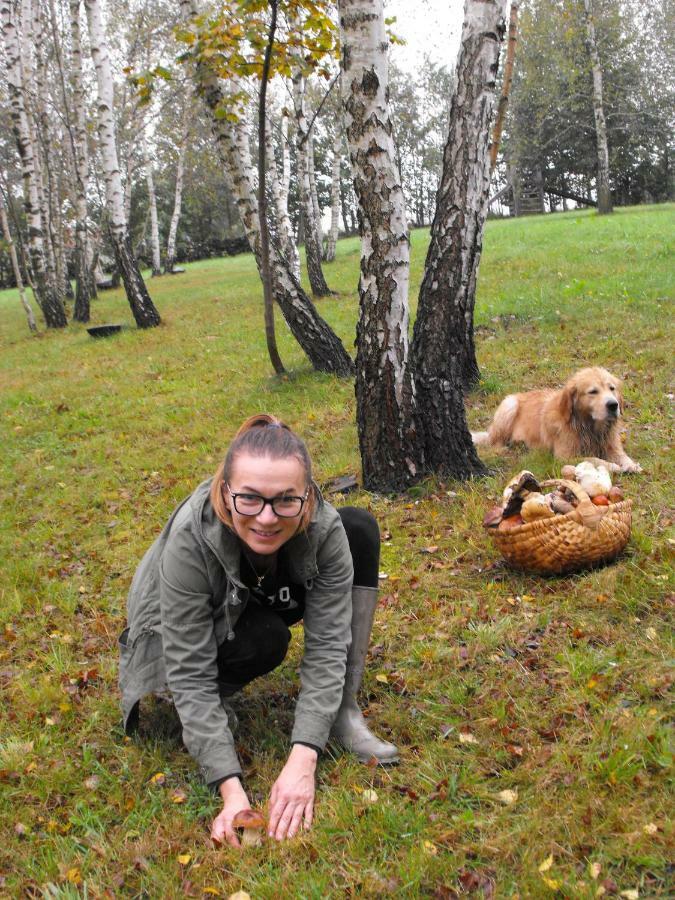 Agroturystyka Zacisze Czarna Owca Brzezanka Dış mekan fotoğraf