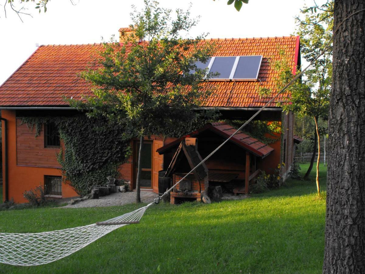 Agroturystyka Zacisze Czarna Owca Brzezanka Dış mekan fotoğraf