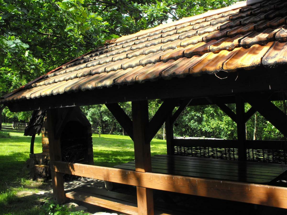 Agroturystyka Zacisze Czarna Owca Brzezanka Dış mekan fotoğraf