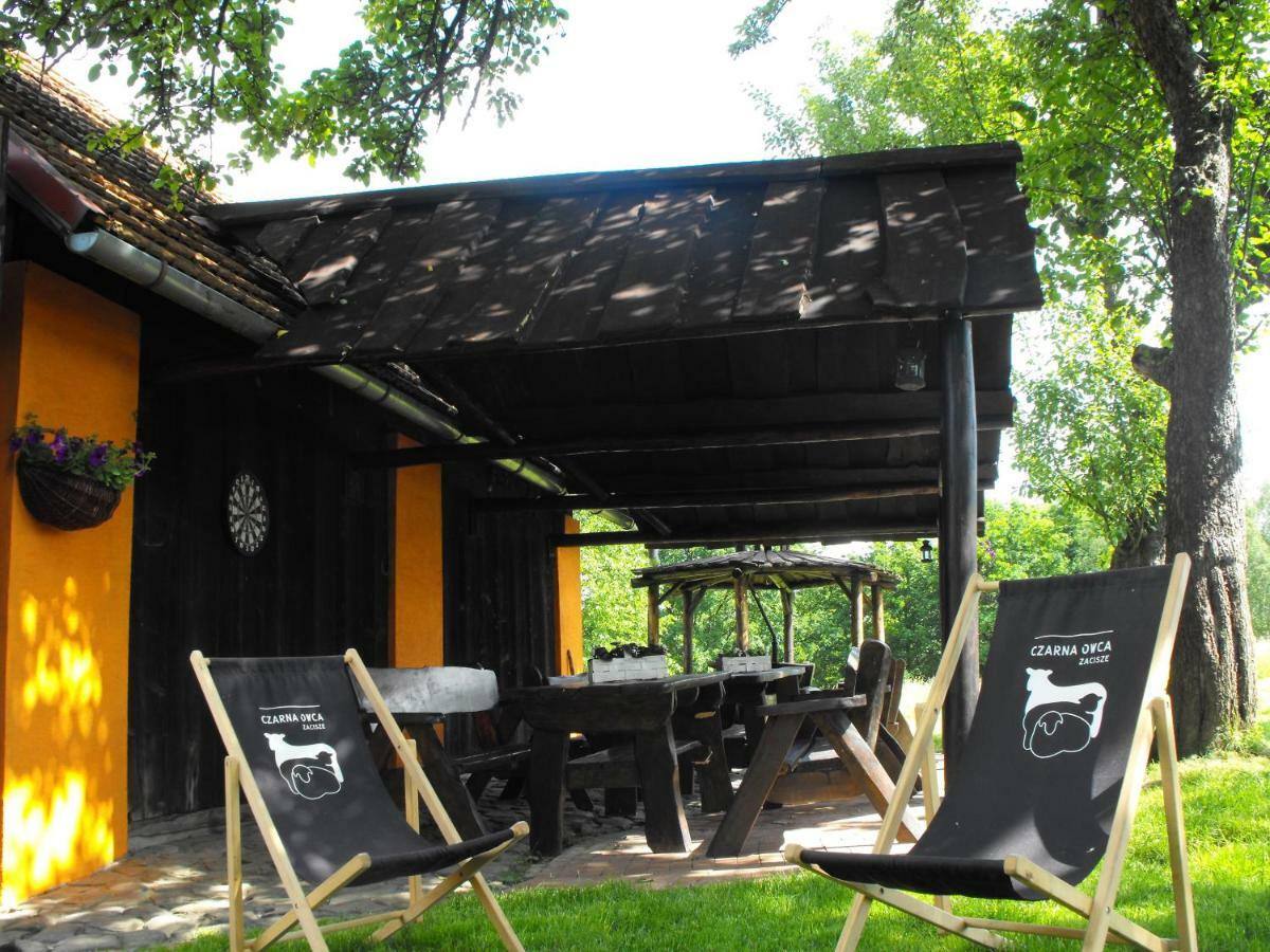 Agroturystyka Zacisze Czarna Owca Brzezanka Dış mekan fotoğraf